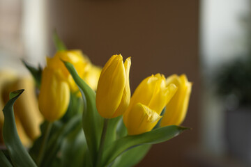 spring yellow tulips in a bouquet