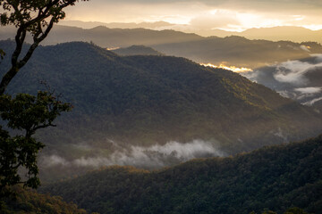 green forest mountain after rain sunset There was a dense white rain mist that looked fresh. the...