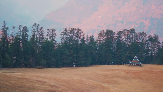 Closeup shot of Pine Trees and Shangchul Mahadev Temple besides the meadows of the Shangarh village at Sainj Valley in Himachal Pradesh, India. Beautiful meadows of Shangarh during winter season.
