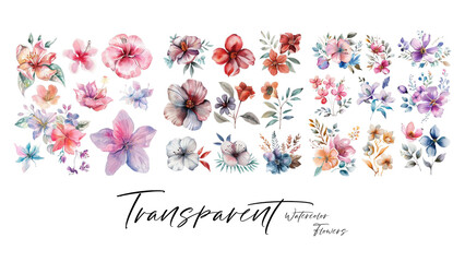 A collection of beautiful and elegant watercolor flowers suitable for wedding invitations and decoration elements