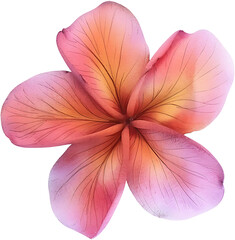 Gradient flower illustration