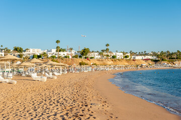Sunny resort beach with palm tree at the coast shore of Red Sea in Sharm el Sheikh, Sinai, Egypt. Bright sunny light.