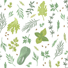 Fototapeta na wymiar Seamless pattern with Spicy herbs. Textile Collection of culinary fresh herbs