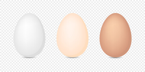 Set of chicken eggs. Vector illustration. Organic food concept