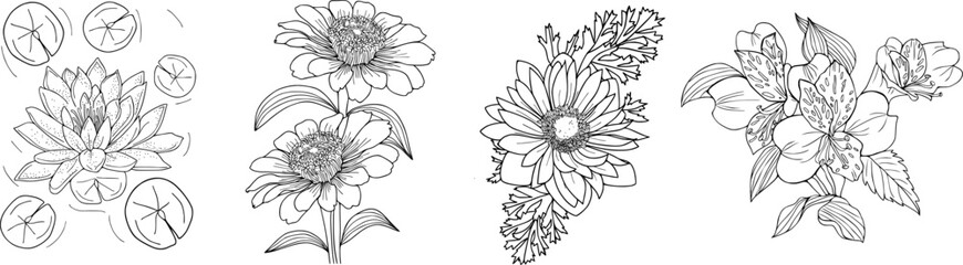 Set of wild flower illustration. Hand drawn botanical line art on isolated background. 