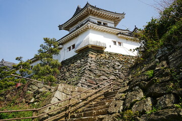 Naklejka premium Wakayama-jo Castle in Wakayama, Japan - 日本 和歌山県 和歌山城 