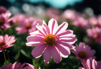 Obraz premium 'petals pink Set eight flowers Icon Flower Pink Abstract Vector Illustration Spring Floral Beauty Plant Mother's day'