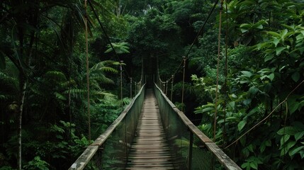 Wooden bridge across the forest with foliage around