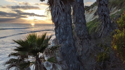 Southern California beach scenes with sunsets, surfers, tide pools and palms trees at Swamis Reef...