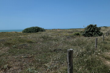 Bois Joly, St. Jean de Monts