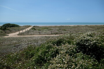 Bois Joly, St. Jean de Monts
