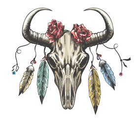 Engraving Bull Skull with Roses Feathers and Gems