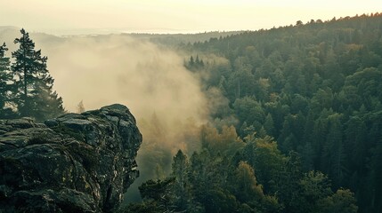 This is a photo of a rocky cliff overlooking a valley. The valley is filled with fog and there are trees on both sides of the valley. The sky is light orange and there is a slight fog around the cliff