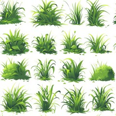 A collection of various types of grass