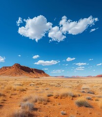 Fototapeta na wymiar Arid Desert Landscape with Rocky Mountains and Sparse Vegetation