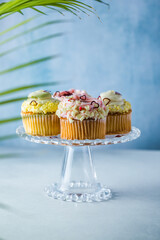 Set of different delicious cupcakes on funny cake-stand
