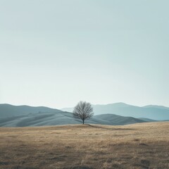 Lonely Tree on a Hill