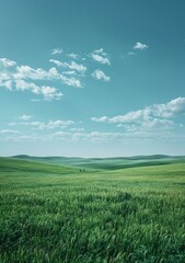 Obraz premium Green rolling hills under blue sky with white clouds