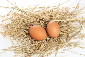 Chicken eggs and nest isolated on white, top view