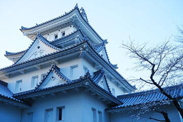 Fototapeta premium Ogaki-jo Castle with Cherry Blossom in Gifu, Japan - 日本 岐阜県 大垣城 春の桜