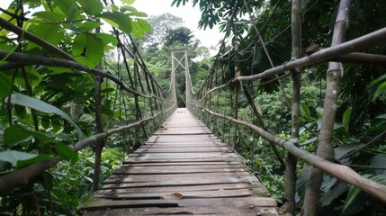 Fototapeta premium Wooden bridge across the forest with foliage around
