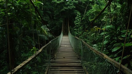Obraz premium Wooden bridge across the forest with foliage around