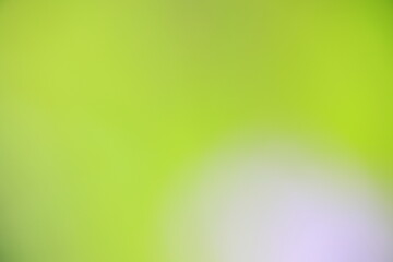 グリーングラデーション　背景素材