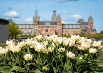 Flowers in front of The Rijksmuseum, the national museum of The Netherlands in Amsterdam. Selective focus