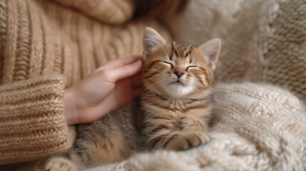 A woman is petting a kitten.