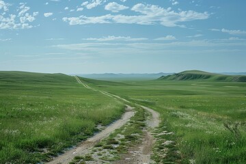 Obraz premium dirt road through a lush green grassy field