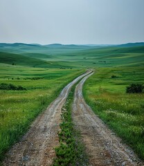 dirt road through a lush green grassy field
