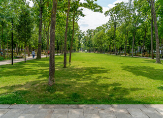 Park in Reims