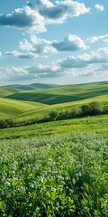 Green rolling hills under a blue sky