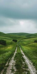 Naklejka premium Countryside dirt road through green grassy hills under cloudy sky