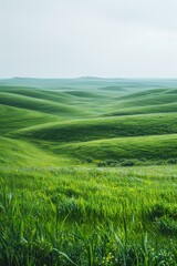 Picturesque green rolling hills under the vast blue sky