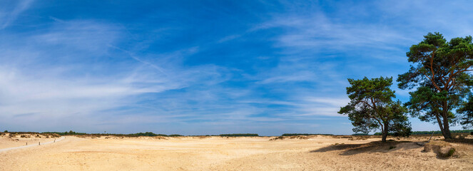 Nature area Het Balloerveld in Drenthe