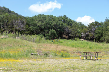 Peaceful Texas landscape with trees, flowers, picnic table, and partly cloudy skies