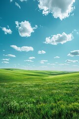 Obraz premium Green rolling hills under blue sky with white clouds