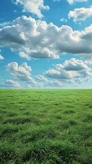 Obraz premium Green Grass Field Under Blue Sky With White Clouds