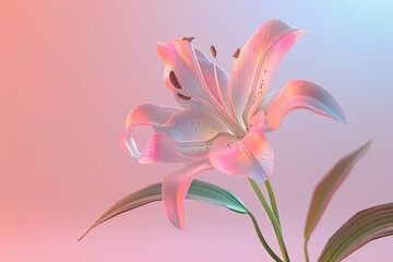 Obraz premium Serene Lily Flower Against Gradient Background