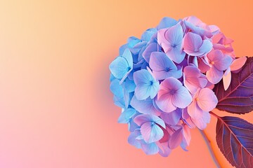 Obraz premium Pastel Hydrangea Bouquet Against Gradient Backdrop