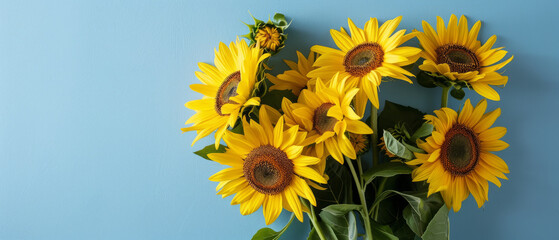 A bouquet of yellow sunflowers on a blue background