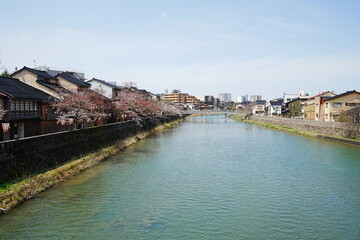 Asano-gawa River in Higashiyama, Kanazawa, Japan - 日本 石川県 金沢市 東山 浅野川