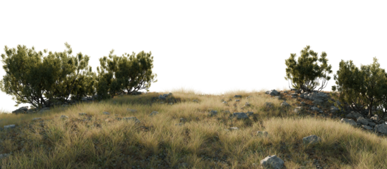 Tranquil Wilderness Landscape with Green Trees. 3D rendering.