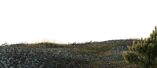 Rocky Terrain with Sparse Grass Growth. 3D rendering.
