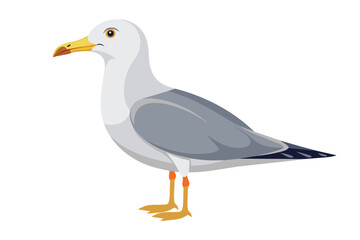 Seagull flat vector illustration on white background.