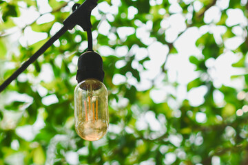 Light bulbs in the garden during the day