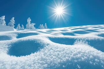 beautiful snow scenery on a sunny day professional photography