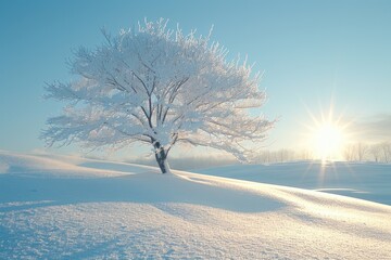 beautiful snow scenery on a sunny day professional photography