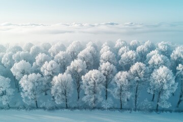 beautiful snow scenery on a sunny day professional photography